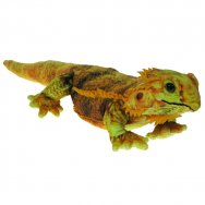 Barwne Zoo: Maskotka Agama 46cm (36094)