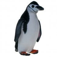 Barwne Zoo: Maskotka pingwin maskowy, arktyczny 25cm (93292)