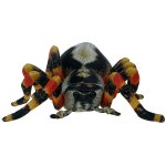 Barwne Zoo: Maskotka pająk tarantula 28cm (93300)