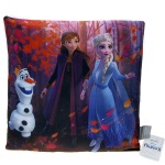 Frozen II : Kraina Lodu II - Poduszka dekoracyjna (023143)