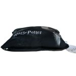 Harry Potter - miękka poduszka dekoracyjna (450976)