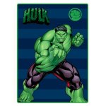 Koc polarowy Marvel Avengers (314868) HULK