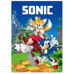 Koc polarowy Sonic the Hedgehog: 100cm x 150cm (36778) Sonic, Tails i Knuckles