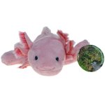 Maskotka Aksolotl różowy (ambystoma meksykańska) 28cm (69850)