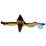 Maskotka Dinozaur - Pteranodon - 26cm 49287