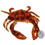 Maskotka Krab 40cm (07953)