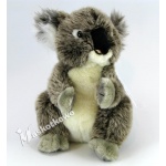 Maskotka Miś Koala 22cm 85218