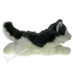 Maskotka Pies husky 36cm 80305