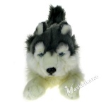 Maskotka Pies husky 36cm 80305