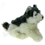 Maskotka Pies husky 36cm 80305