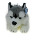 Maskotka Pies husky leżący 35cm (02882)