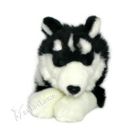 Maskotka Pies husky syberyjski 42cm 89865