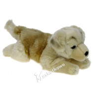 Maskotka Pies golden retriever 30cm 70286