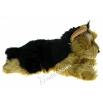 Maskotka Pies Yorkshire Terrier 36cm 89919