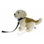 Maskotka Piesek golden retriever na smyczy 24cm 89568