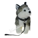 Maskotka Piesek husky na smyczy 24cm 89094