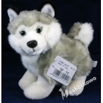 Maskotka Piesek husky szczeniak 21cm 15116