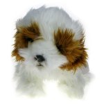 Maskotka Piesek Shih Tzu 25cm 90946