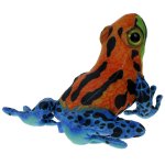 Maskotka Żaba, żabka egzotyczna, kolorowa (30153)