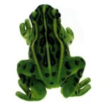 Maskotka Żaba, żabka zielona 28cm (16733)