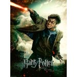 Puzzle 100 XXL - Harry Potter (128693)