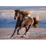 Puzzle 1000 elementów - High Quality Collection: Wolny Koń (Free Horse) (39420)