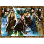 Puzzle 1000 - Harry Potter 151714