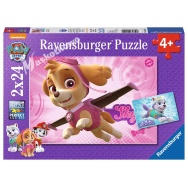 Puzzle 2x24 - Psi Patrol - 091522 Everest i Skye