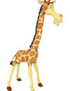 Madagaskar - Melman